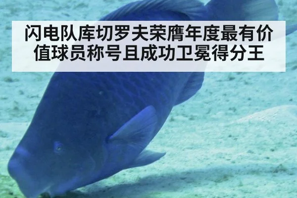闪电队库切罗夫荣膺年度最有价值球员称号且成功卫冕得分王
